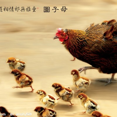 貴婦,跪婦--子女運與父母運的連帶關係