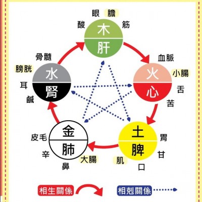 姓名五行格局vs身體五臟疾病