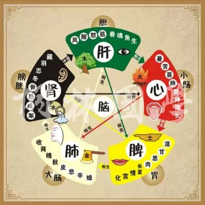 姓名五行格局vs身體五臟疾病(深入篇)